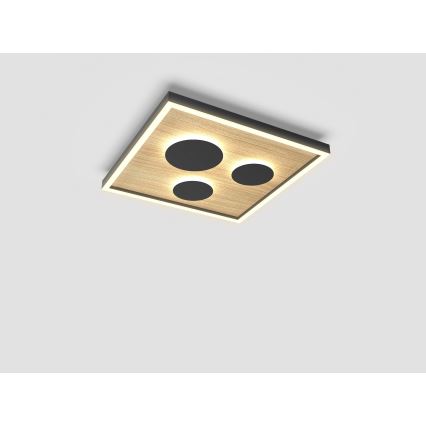 Wofi 9012-306S - Светодиодный регулируемый потолочный светильник DIJON LED/26W/230V