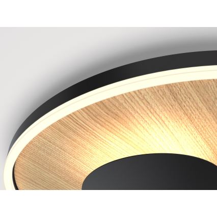 Wofi 9013-306L - Светодиодный потолочный светильник с регулированием яркости REIMS LED/40W/230V