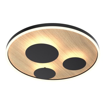 Wofi 9013-306L - Світлодіодний регульований стельовий світильник REIMS LED/40W/230V