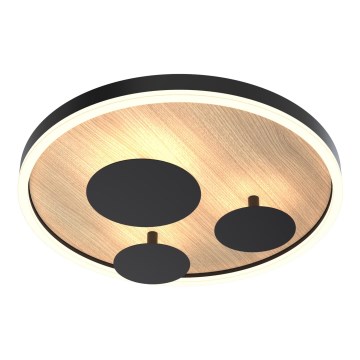 Wofi 9013-306S - Светодиодный регулируемый потолочный светильник REIMS LED/26W/230V