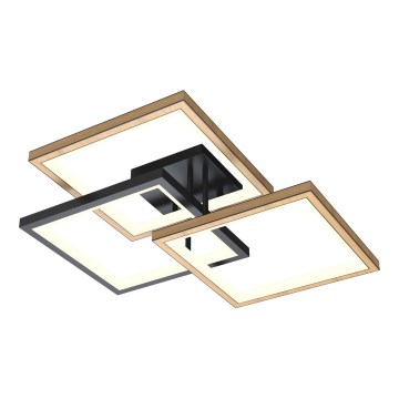 Wofi 9022-306S - Светодиодный потолочный светильник с регулированием яркости MATERA LED/40W/230V