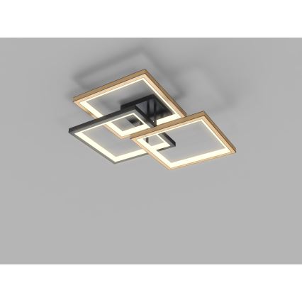 Wofi 9022-306S - Светодиодный потолочный светильник с регулированием яркости MATERA LED/40W/230V