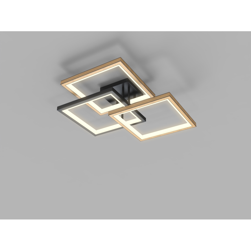 Wofi 9022-306S - Светодиодный потолочный светильник с регулированием яркости MATERA LED/40W/230V