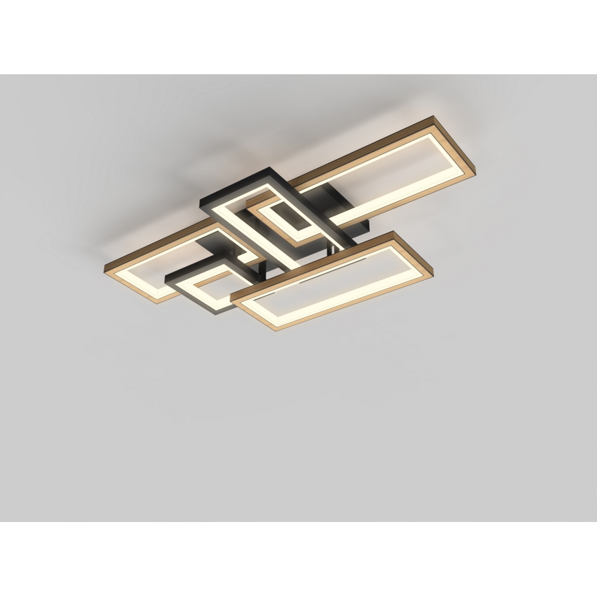 Wofi 9022-506 - Светодиодный потолочный светильник с регулированием яркости MATERA LED/60W/230V