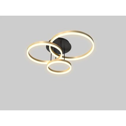 Wofi 9049-401 - Пристельова LED люстра з регулюванням яскравості PERPIGNAN LED/51W/230V золотий