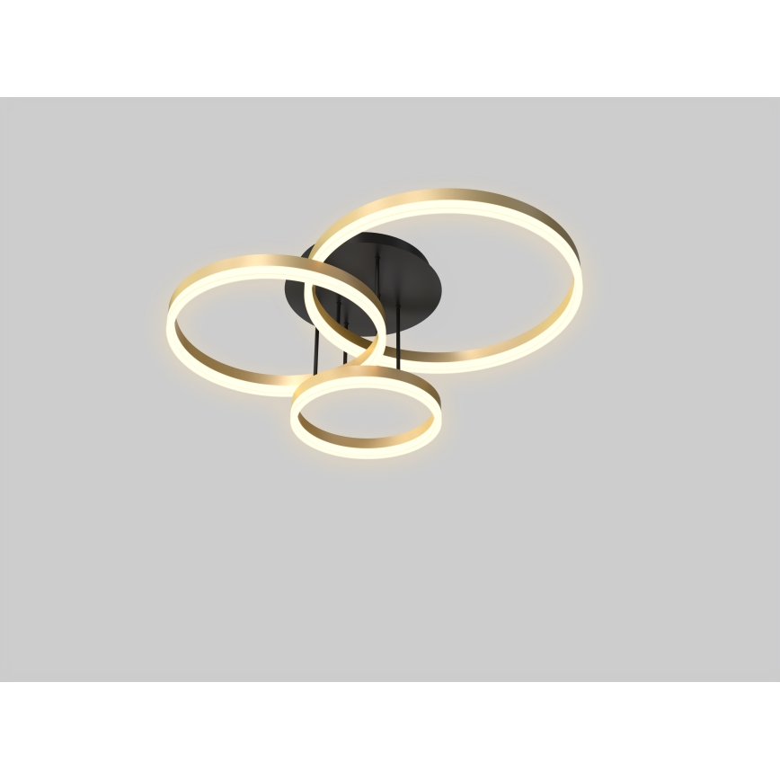 Wofi 9049-401 - Пристельова LED люстра з регулюванням яскравості PERPIGNAN LED/51W/230V золотий