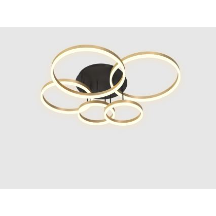 Wofi 9049-601 - Пристельова LED люстра з регулюванням яскравості PERPIGNAN LED/80W/230V золотий