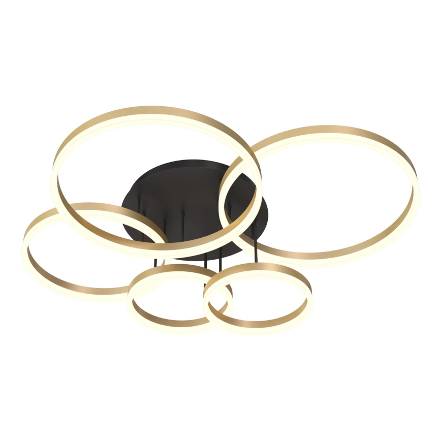 Wofi 9049-601 - Светодиодная припотолочная люстра с регулированием яркости PERPIGNAN LED/80W/230V золотистый