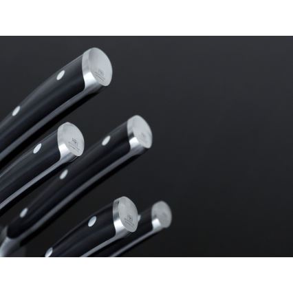 Wüsthof - Набір кухонних ножів у підставці CLASSIC IKON 7 шт ясень/чорний