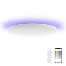 Xiaomi Yeelight - Светодиодный диммируемый светильник RGB ARWEN 550C LED/50W/230V IP50 + ДУ