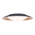 Zambelis 1962 - Светодиодный потолочный светильник LED/28W/230V диаметр 50 cm золотая