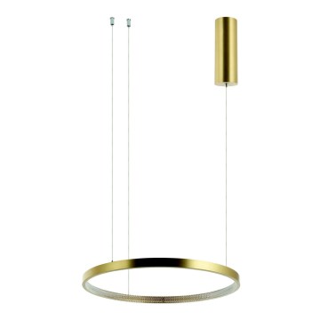 Zambelis 2006 - Підвісна LED люстра з регулюванням яскравості LED/36W/230V золотий