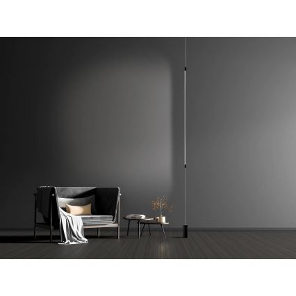 Zambelis 20184 - Светодиодный торшер LED/22W/230V
