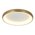 Zambelis 2042 - Стельовий LED світильник з регулюванням яскравості LED/30W/230V діаметр 40 см золотий