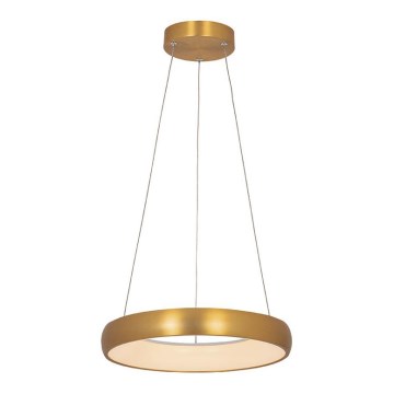 Zambelis 2046 - Підвісна LED люстра з регулюванням яскравості LED/30W/230V діаметр 40 см золотий