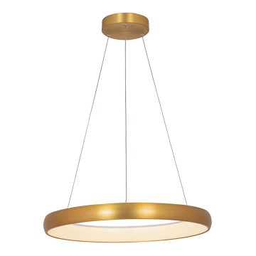 Zambelis 2054 - Підвісна LED люстра з регулюванням яскравості LED/50W/230V діаметр 60 см золотий