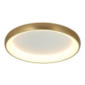 Zambelis 2058 - Стельовий LED світильник з регулюванням яскравості LED/60W/230V діаметр 80 см золотий
