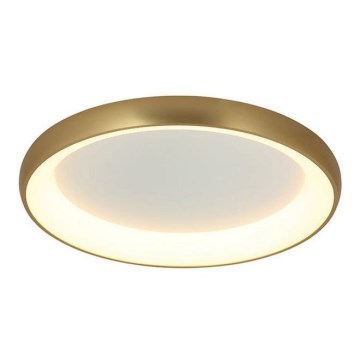 Zambelis 2058 - Стельовий LED світильник з регулюванням яскравості LED/60W/230V діаметр 80 см золотий