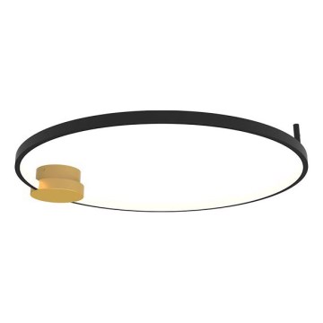 Zambelis 23098 - Світлодіодний стельовий світильник з регулюванням яскравості LED/24W/230V 3000K діаметр 60 см чорний