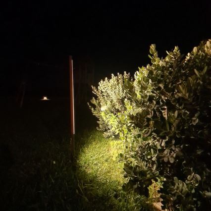 Zambelis E280 - Светодиодная уличная лампа LED/15W/230V IP65 коричневый