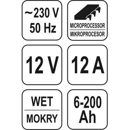 Зарядний пристрій 12A 230V