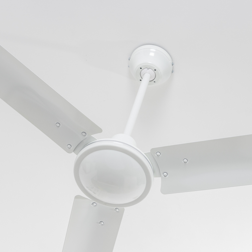 ZEVENTI - Потолочний вентилятор TOFINO білий
