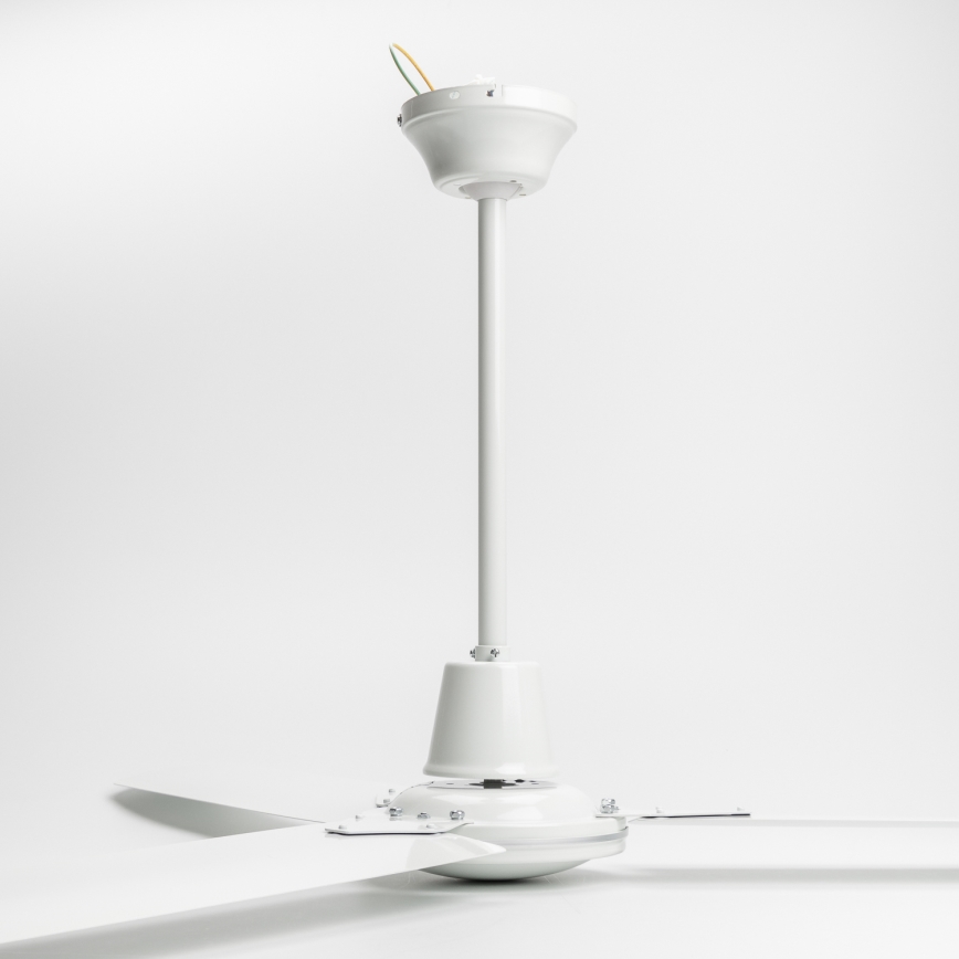 ZEVENTI - Потолочний вентилятор TOFINO білий