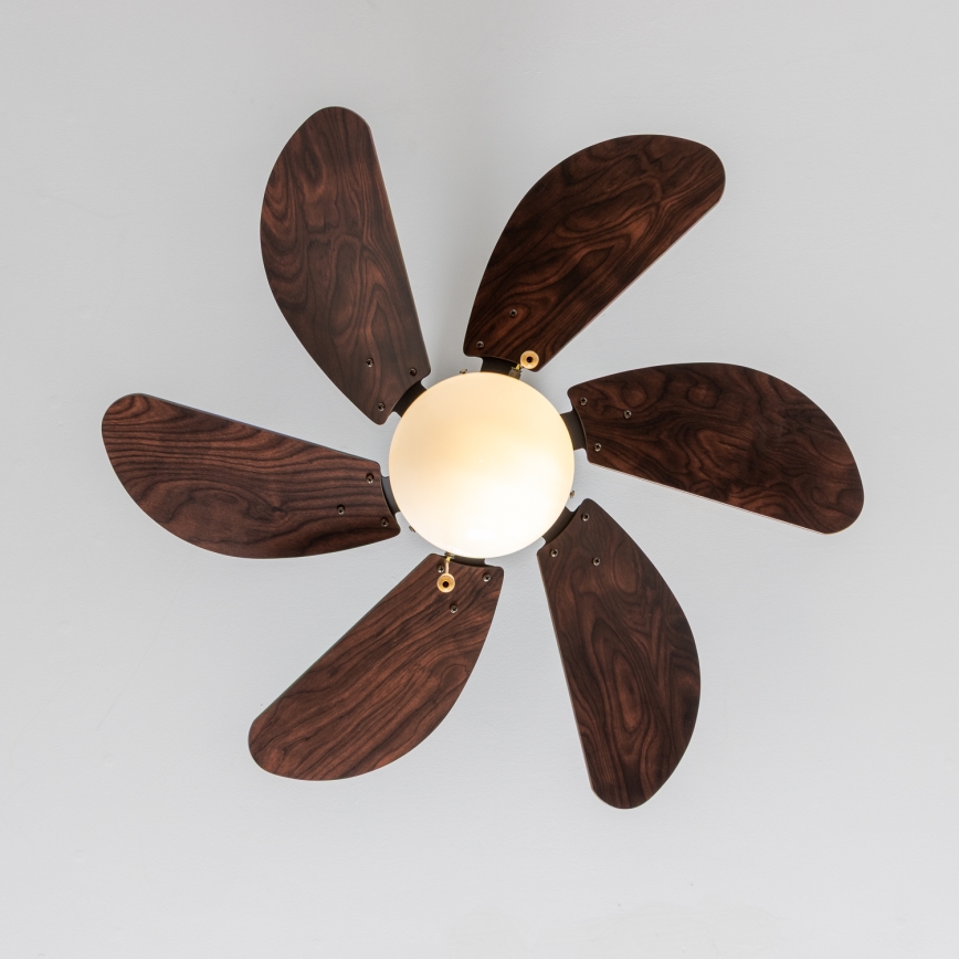 ZEVENTI - Потолочный вентилятор FAMARA 1xE14/60W/230V