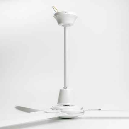 ZEVENTI - Потолочный вентилятор TOFINO белый