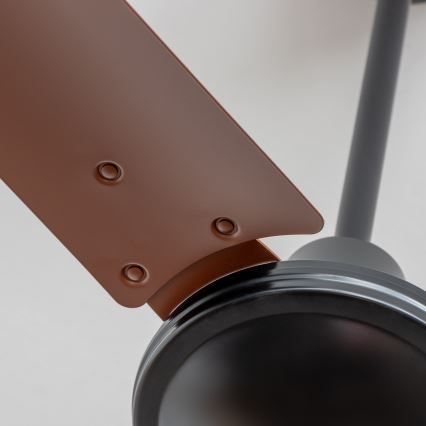 ZEVENTI - Потолочный вентилятор TOFINO коричневый