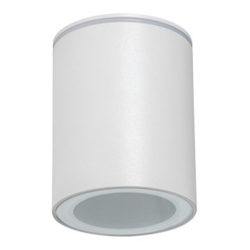 Зовнішній точковий світильник AQILO 1xGU10/7W/230V IP65 білий