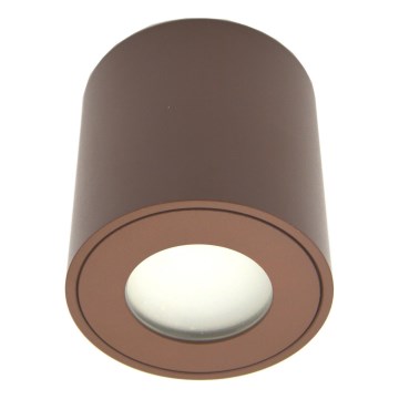 Зовнішній точковий світильник FARA 1xGU10/30W/230V IP54 коричневий