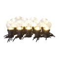 Зовнішня декоративна LED-гірлянда 10xLED/10m IP44 прозора