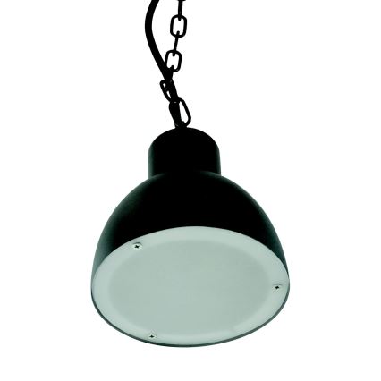Зовнішня люстра ARNE 1xE27/10W/230V IP44