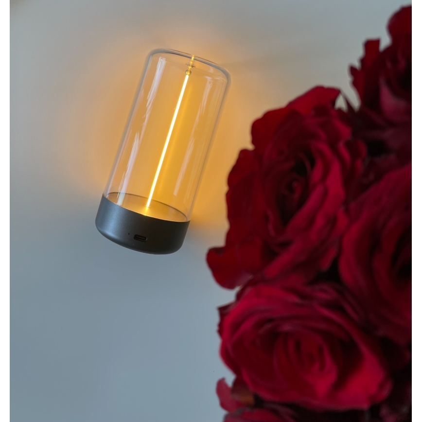 Zuma Line - LED Настільна акумуляторна лампа з регулюванням яскравості LED/0,5W/230V чорний IP54