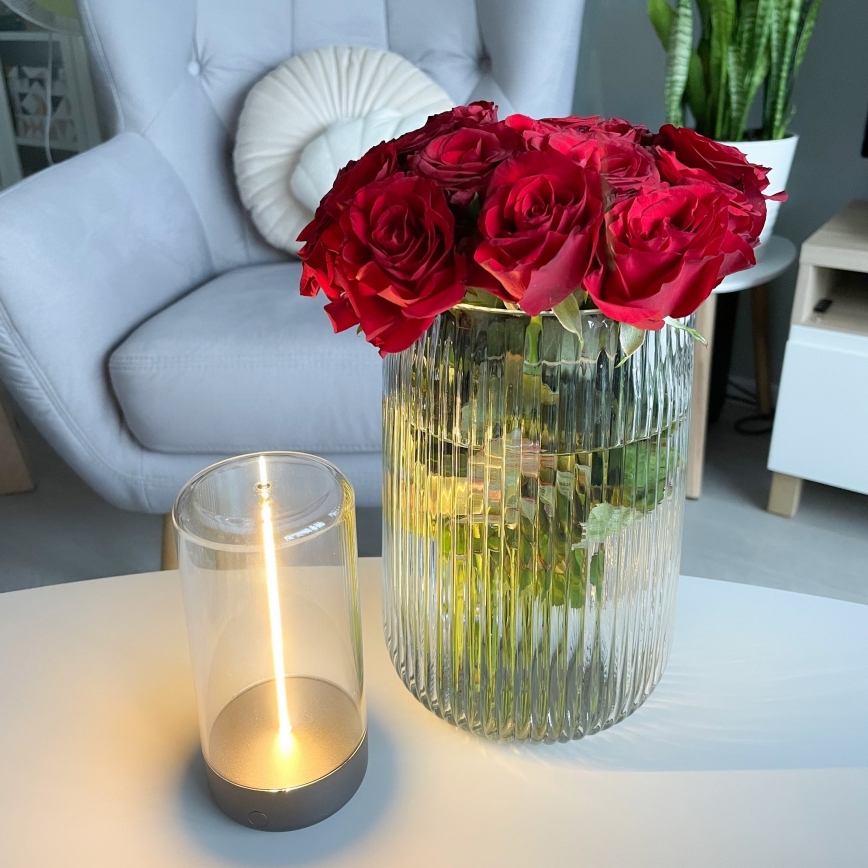 Zuma Line - Светодиодная регулируемая по яркости настольная лампа с зарядкой LED/0,5 Вт/230 В черная IP54