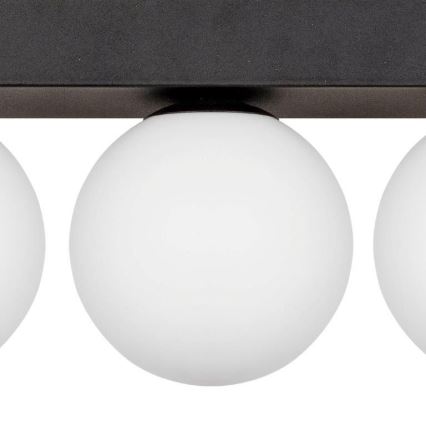 Zuma Line - Стельовий світильник 3xG9/8W/230V 46,5 cm чорний