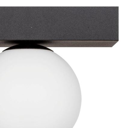 Zuma Line - Стельовий світильник 1xG9/8W/230V чорний