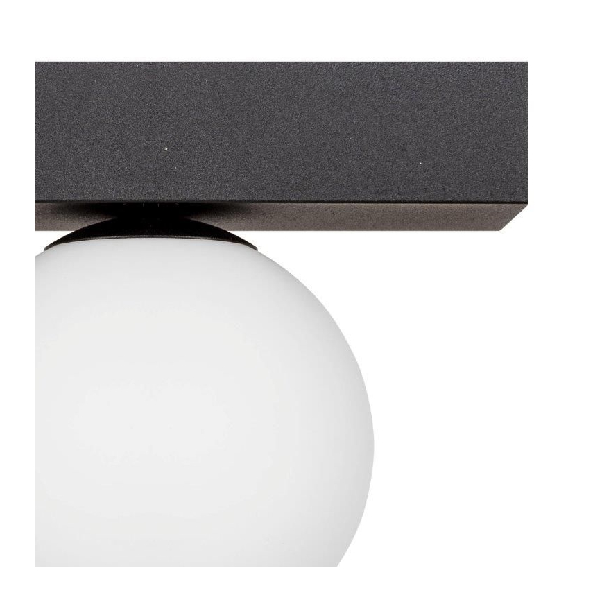 Zuma Line - Стельовий світильник 1xG9/8W/230V чорний