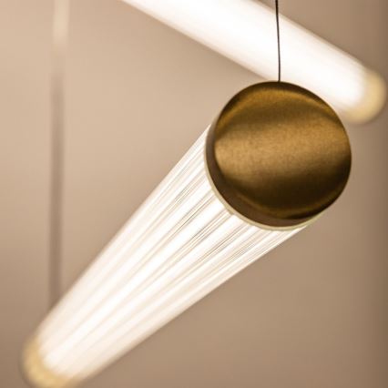 Zuma Line - LED затемнювана люстра на тросі LED/64W/230V 2700-6500K золота + пульт дистанційного керування