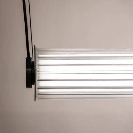 Zuma Line - Диммируемый светодиодный подвесной светильник на тросе LED/39Вт/230В 2700-6500К черный + пульт дистанционного управления