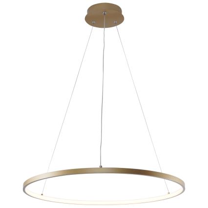 Zuma Line - Світлодіодна підвісна люстра LED/28W/230V 3000/4000/6000K діаметр 60 см золотий