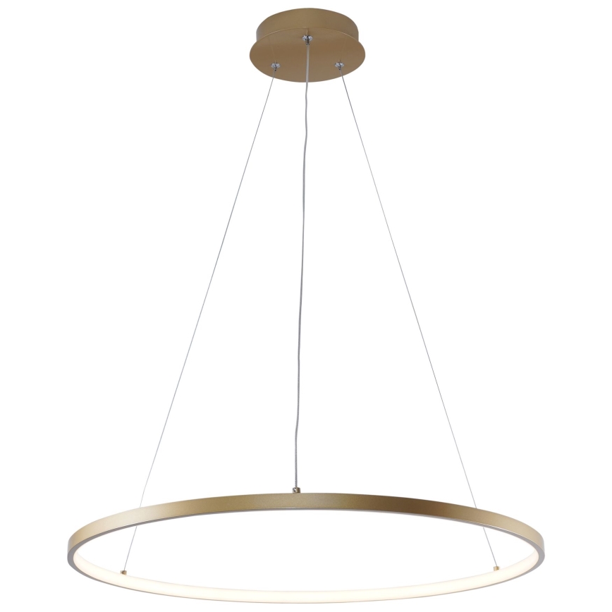 Zuma Line - Світлодіодна підвісна люстра LED/28W/230V 3000/4000/6000K діаметр 60 см золотий
