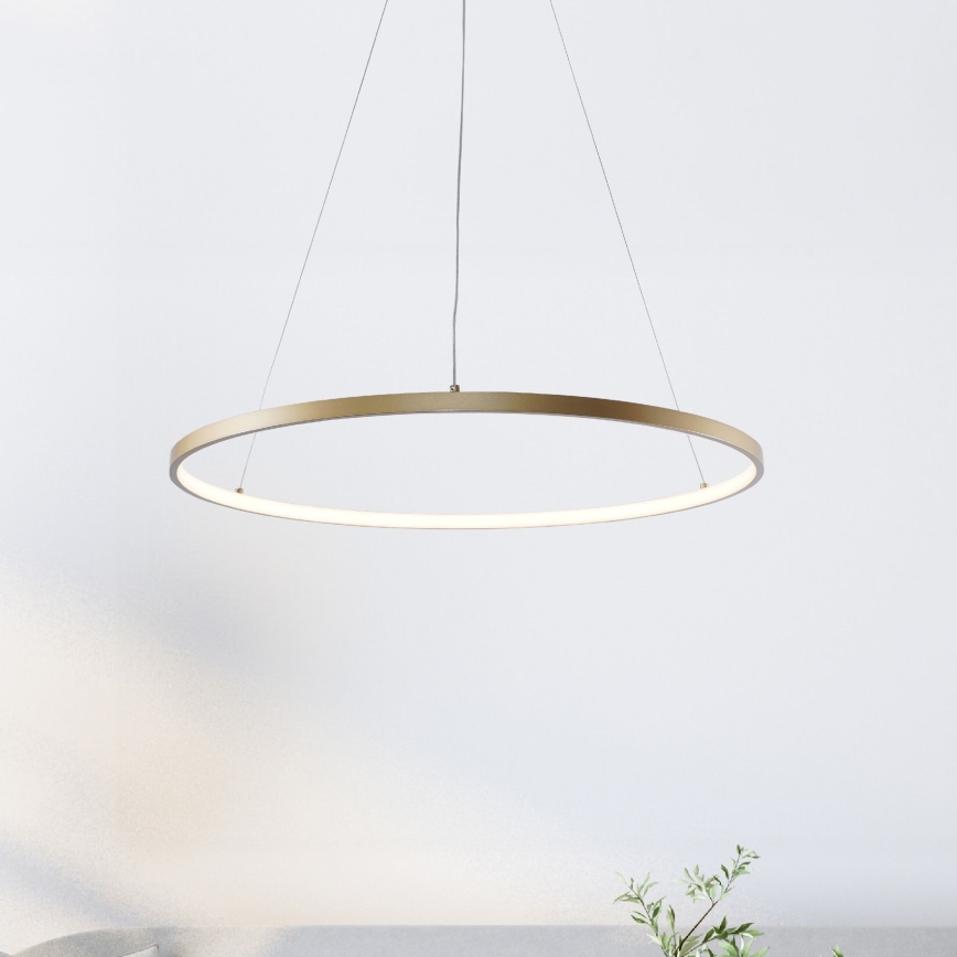 Zuma Line - Світлодіодна підвісна люстра LED/36W/230V 3000/4000/6000K діаметр 80 см золотий