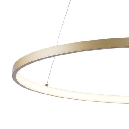 Zuma Line - Світлодіодна підвісна люстра LED/36W/230V 3000/4000/6000K діаметр 80 см золотий