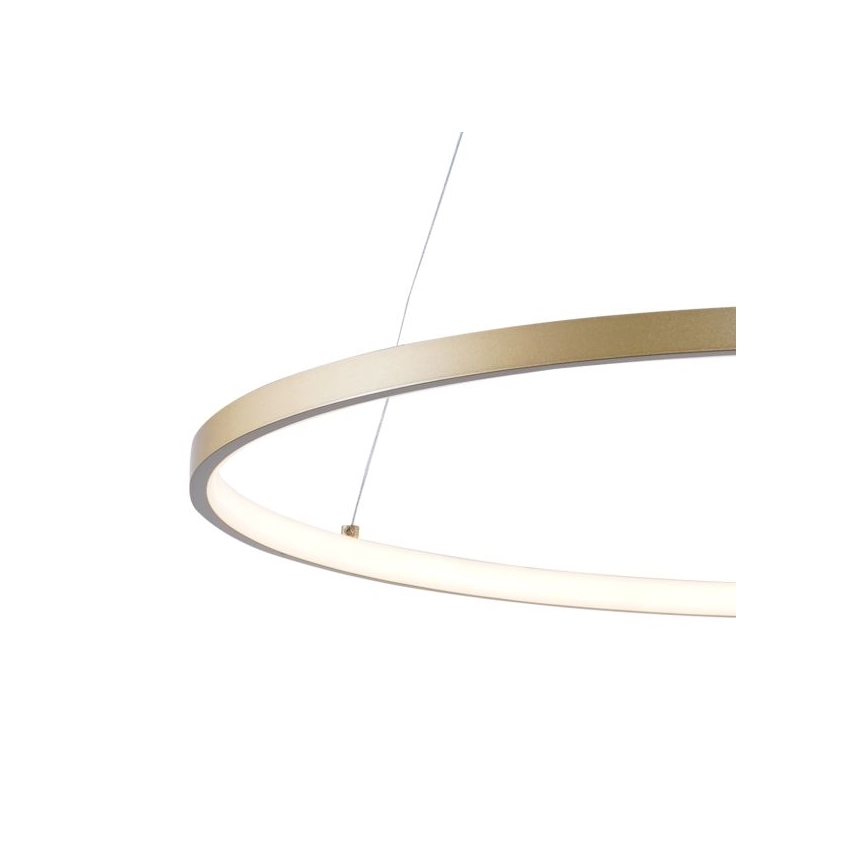Zuma Line - Світлодіодна підвісна люстра LED/36W/230V 3000/4000/6000K діаметр 80 см золотий