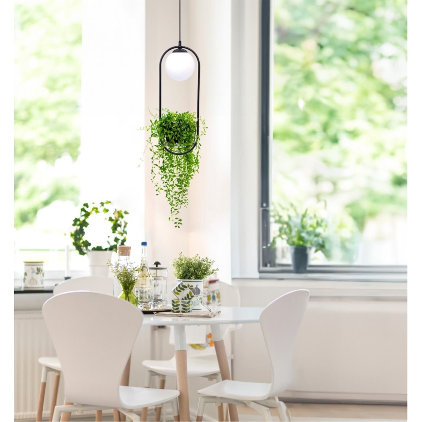 Zuma Line - Підвісна люстра 1xE14/40W/230V чорний