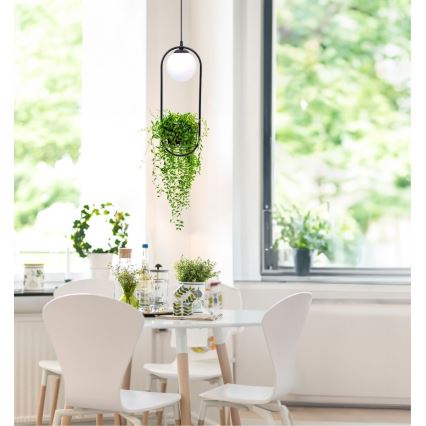 Zuma Line - Подвесная люстра 1xE14/40W/230V черный