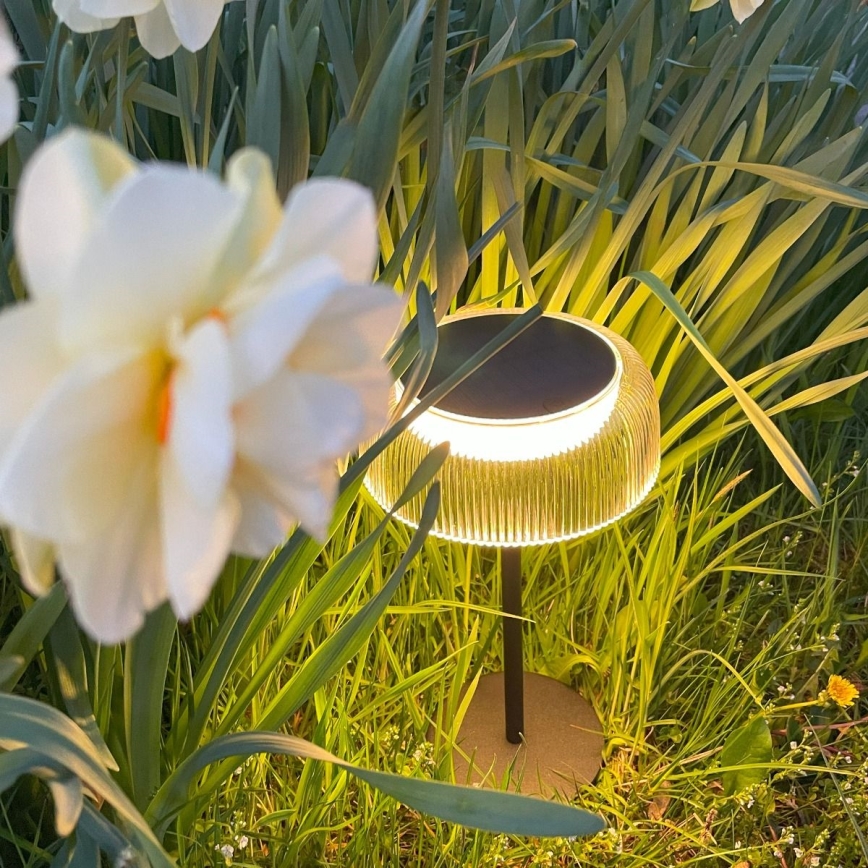 Zuma Line - Світлодіодна регульована за яскравістю сонячна настільна лампа LED/2,5 Вт/2000 мАг IP44 чорна