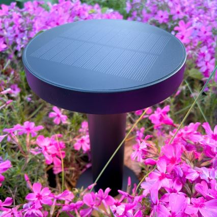 Zuma Line - Світлодіодна регульована за яскравістю сонячна настільна лампа LED/2W/2000 mAh IP44 чорна